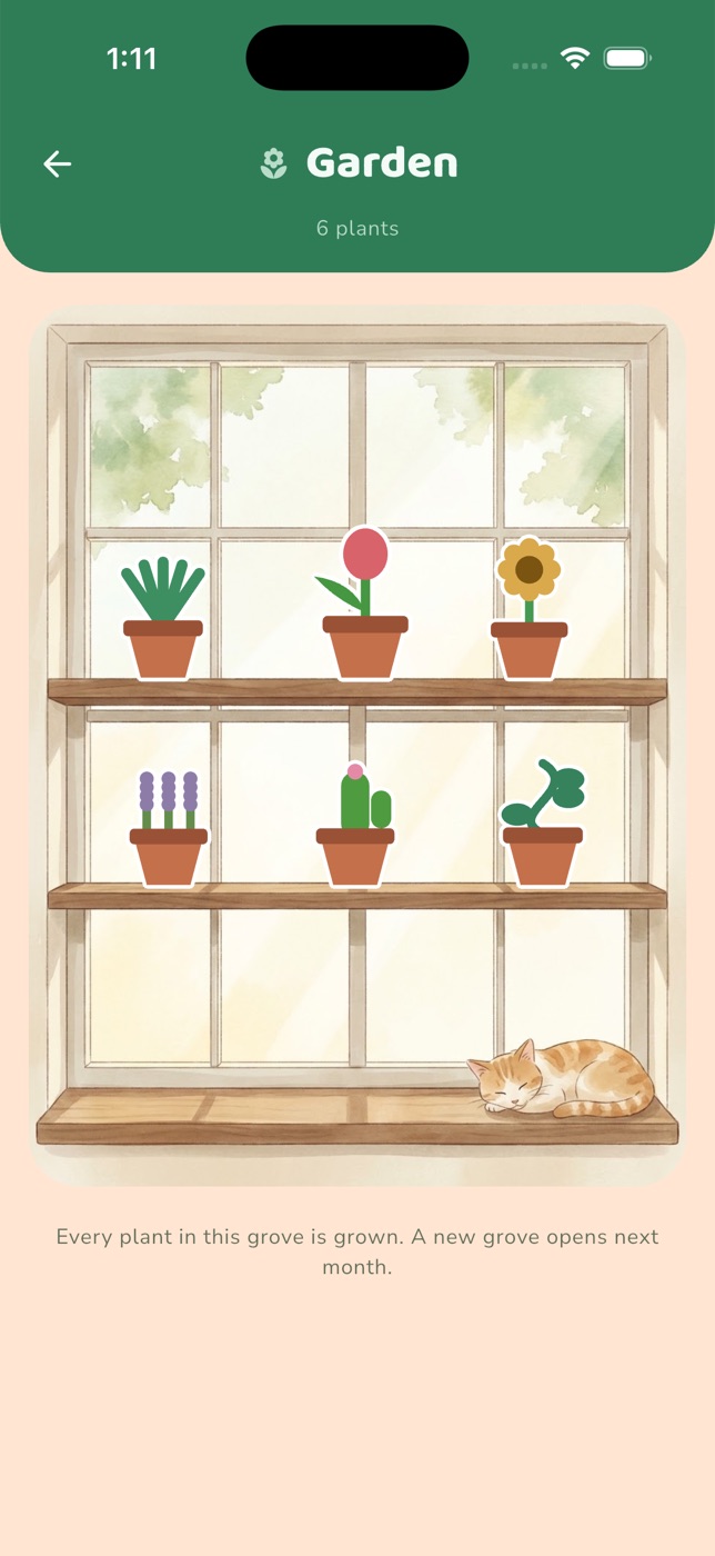 Finish a pack and a plant joins the window
